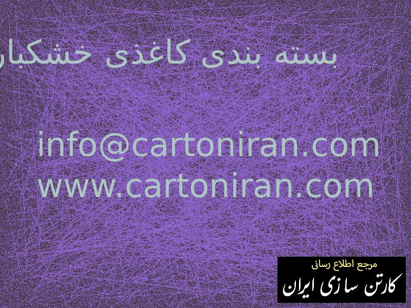 بسته بندی کاغذی خشکبار